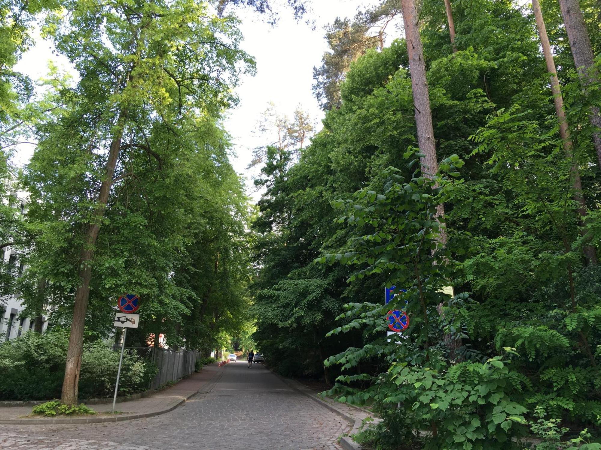 Przytulny Apartament Blisko Lasu Z Szybkim Wi-Fi Sopot Eksteriør bilde